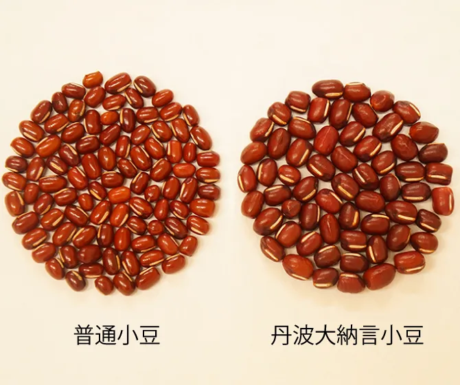 小豆の高級品種